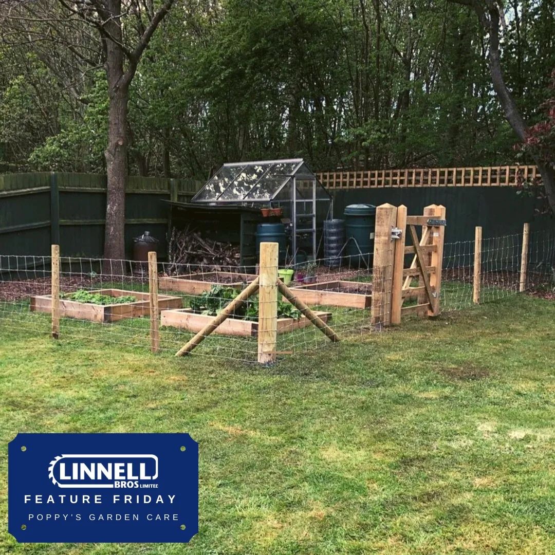 Today's #FeatureFriday came from Will @poppys_garden_care .

 We love this fenced off vegetable garden! 🥕🥔🥒 

A perfect opportunity to remind everyone that we also supply a  range of wire/mesh fencing for keeping animals in (or out!) as well as timber. 

Thanks for tagging us ✅ great work! 👍

#vegetablegarden #vegetablepatch #gardengoals #veggarden #northamptonshire #fencing #landscaping #gardening #gardencare #gardendesign #poppysgardencare #growyourown #homegrown #customerphoto #livestock #pestcontrol