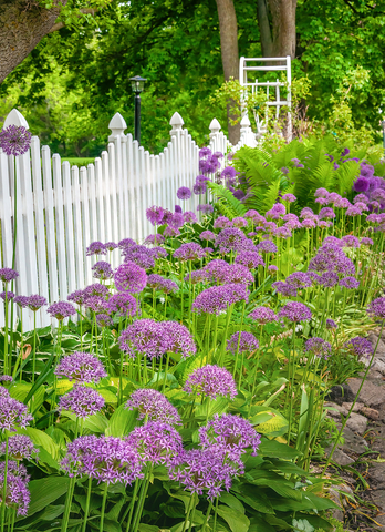 best type of fencing for gardens