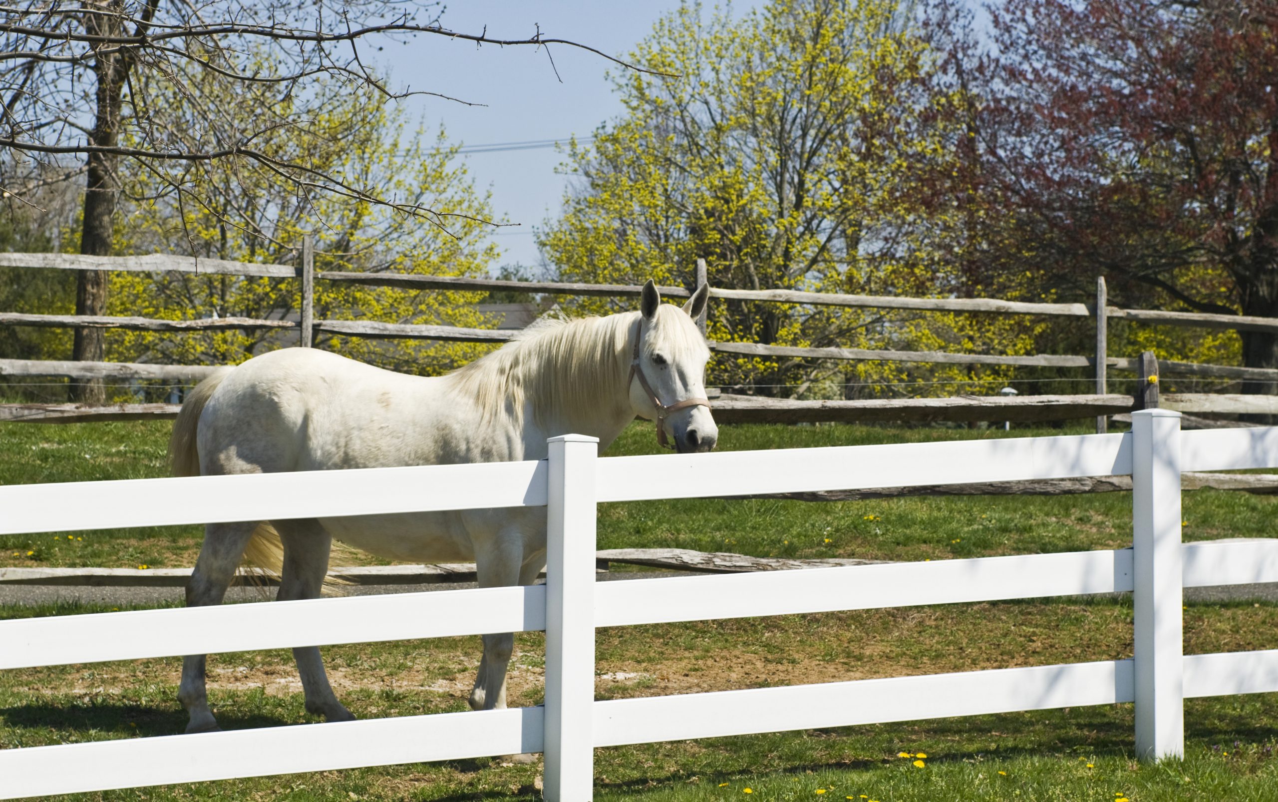 Woven Wire Fencing – Horse Farm Services