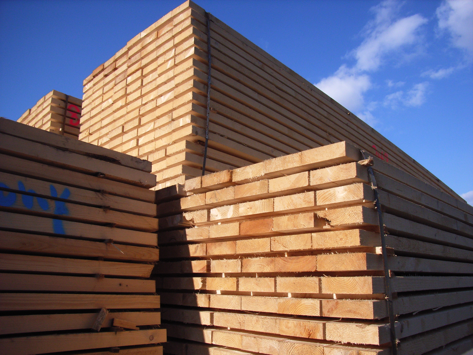 Stacks of timber supplies