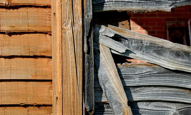 A large stack of wooden logs in a forest