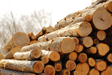 Timber products at Linnell Bros