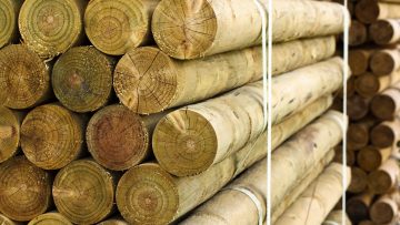 wood timber