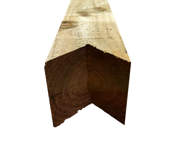 Birds Mouth Posts