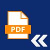 Download PDF icon