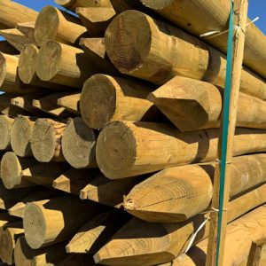 Cundy Peeled Pointed Posts
