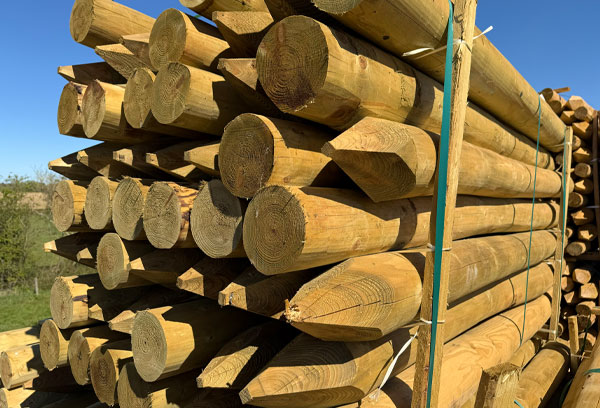 Cundy Peeled Pointed Posts