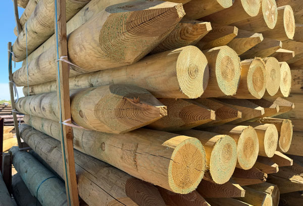 Cundy Peeled Pointed Posts - Image 2