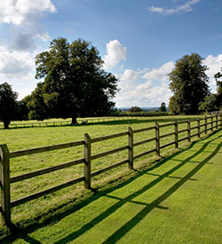 Post and Rail Fencing