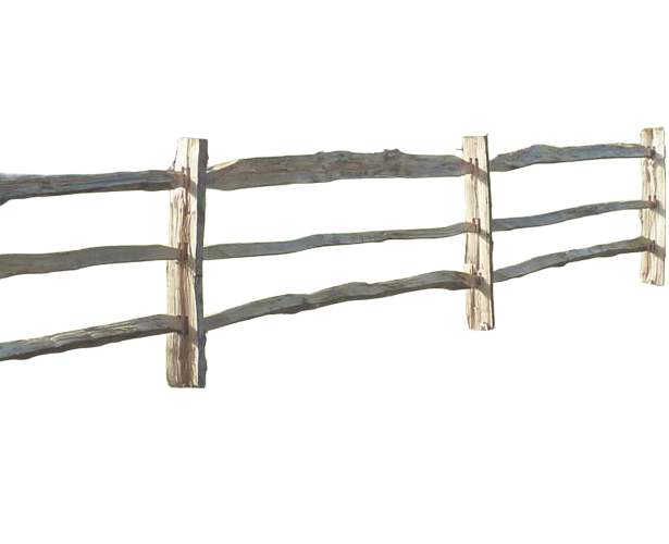 Chestnut Cleft Post and Rail Fencing