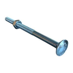 Coach Bolts (Nut & Washer)