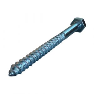 Coach Screws