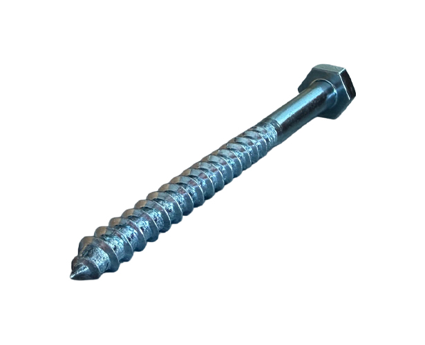 Coach Screws