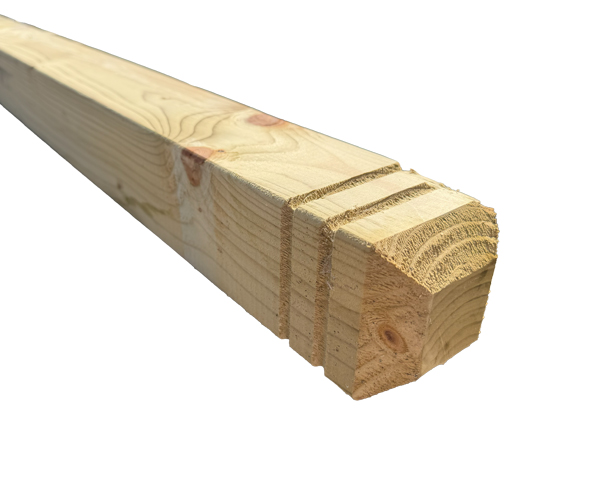 Patrice Newel Post