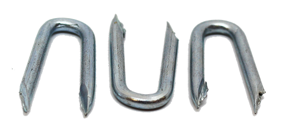 Galvanised Fencing Staples