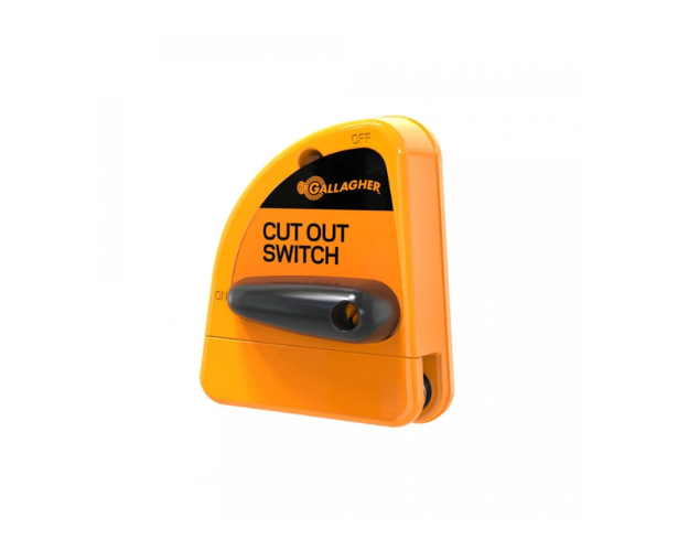 Cut Out Switch (060705)