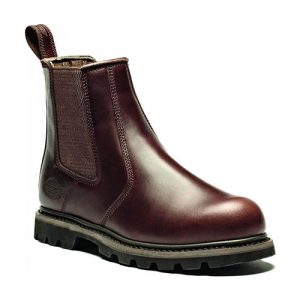 Dickies Fife 2